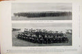 Original Old Antique Print Navy & Army Battalion Drawn Up For Drill Cavalry 20th