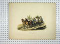 Original Old Antique Print Ref.278 Sweden Costumes C1870 Colour Men Horse Cart
