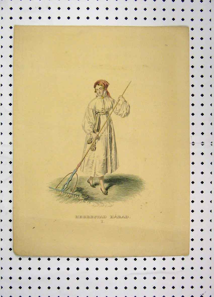 Original Old Antique Print Sweden Costumes C1870 Colour Woman Rake Straw 19th