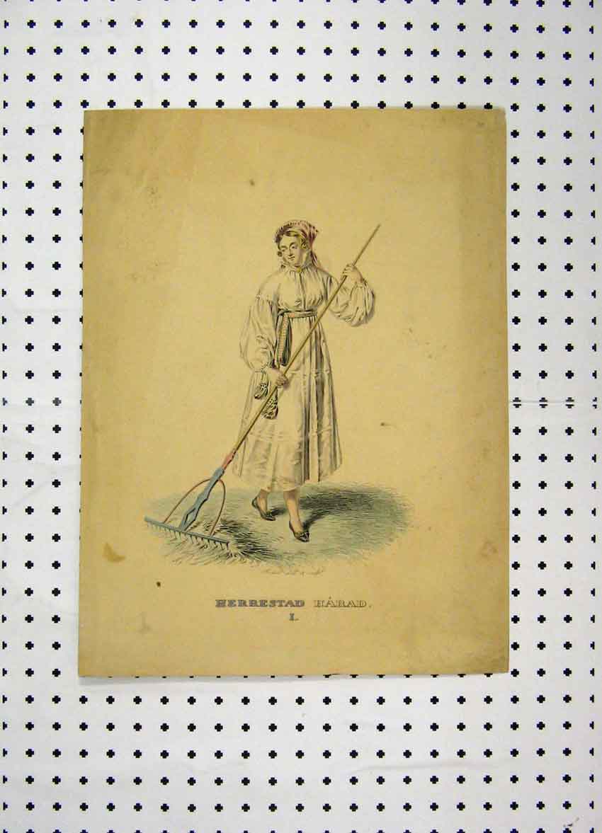 Original Old Antique Print C1870 Sweden Costumes Colour Woman Farm Straw 19th
