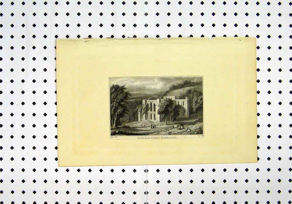 Original Old Antique Print C1836 View Riveaux Abbey Yorkshire Country Scene
