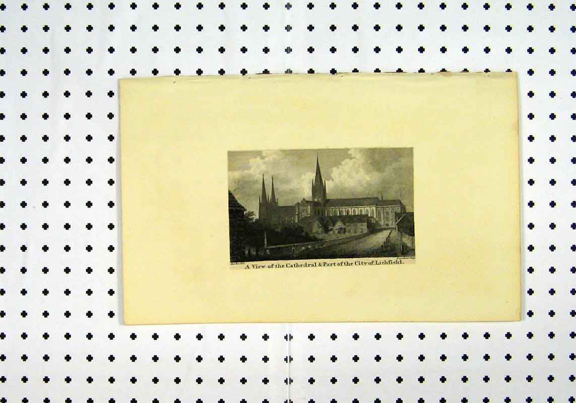 Original Old Antique Print C1836 View Cathedral City Lichfield 19th Century