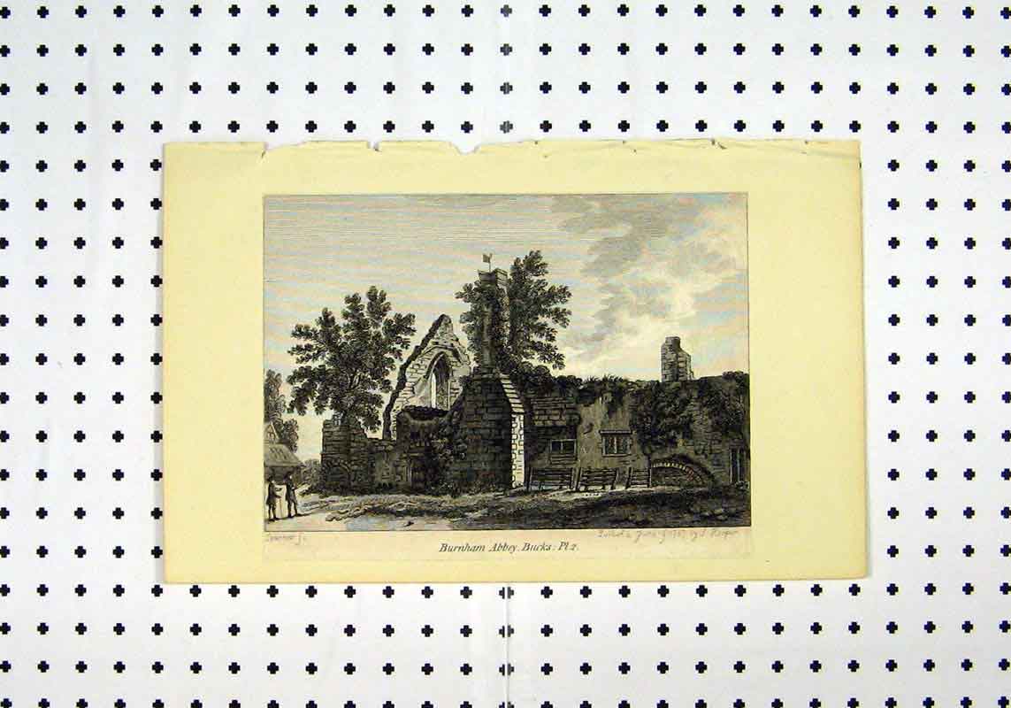 Original Old Antique Print View Burnham Abbey Buckingshire C1836 Ruins Sparrow