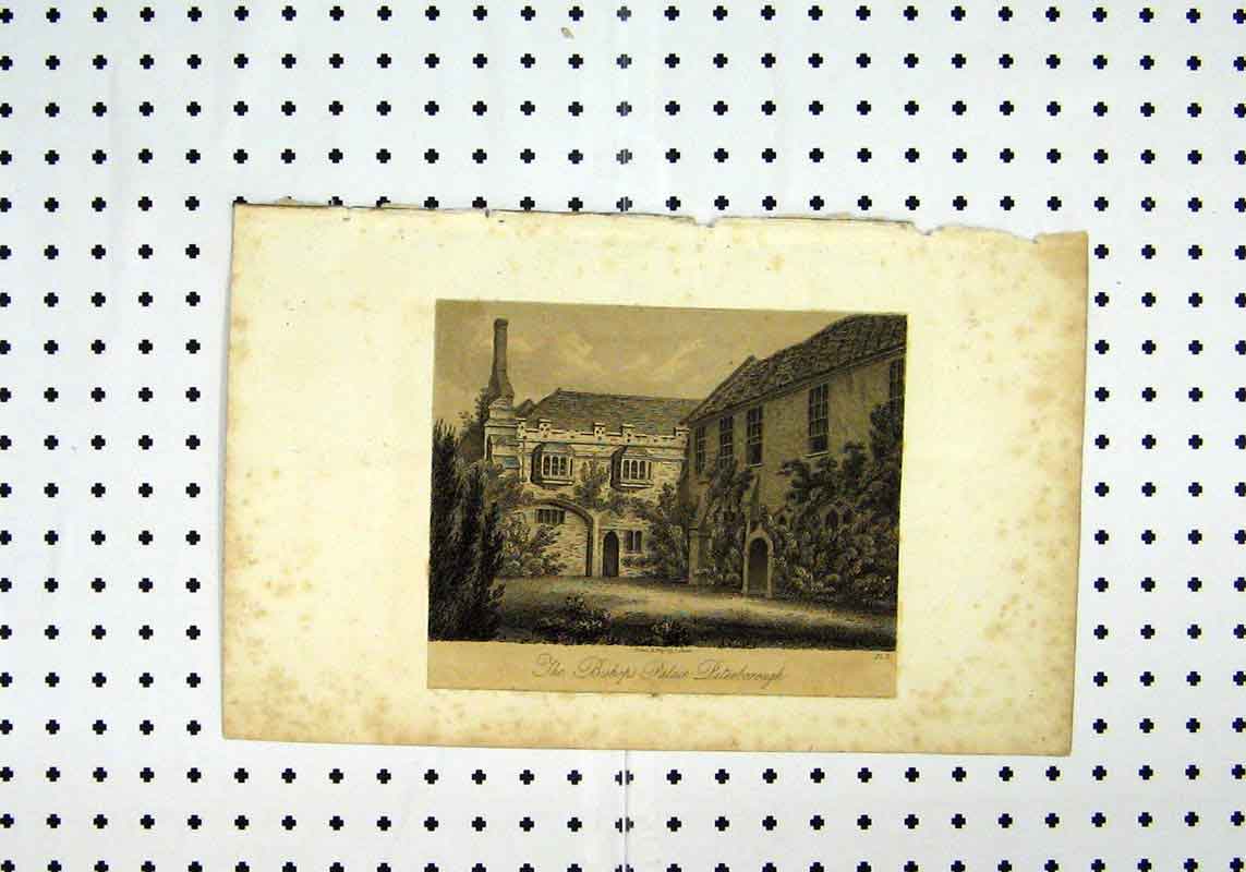 Original Old Antique Print View Bishops Palace Peterborough Cathedral C1836