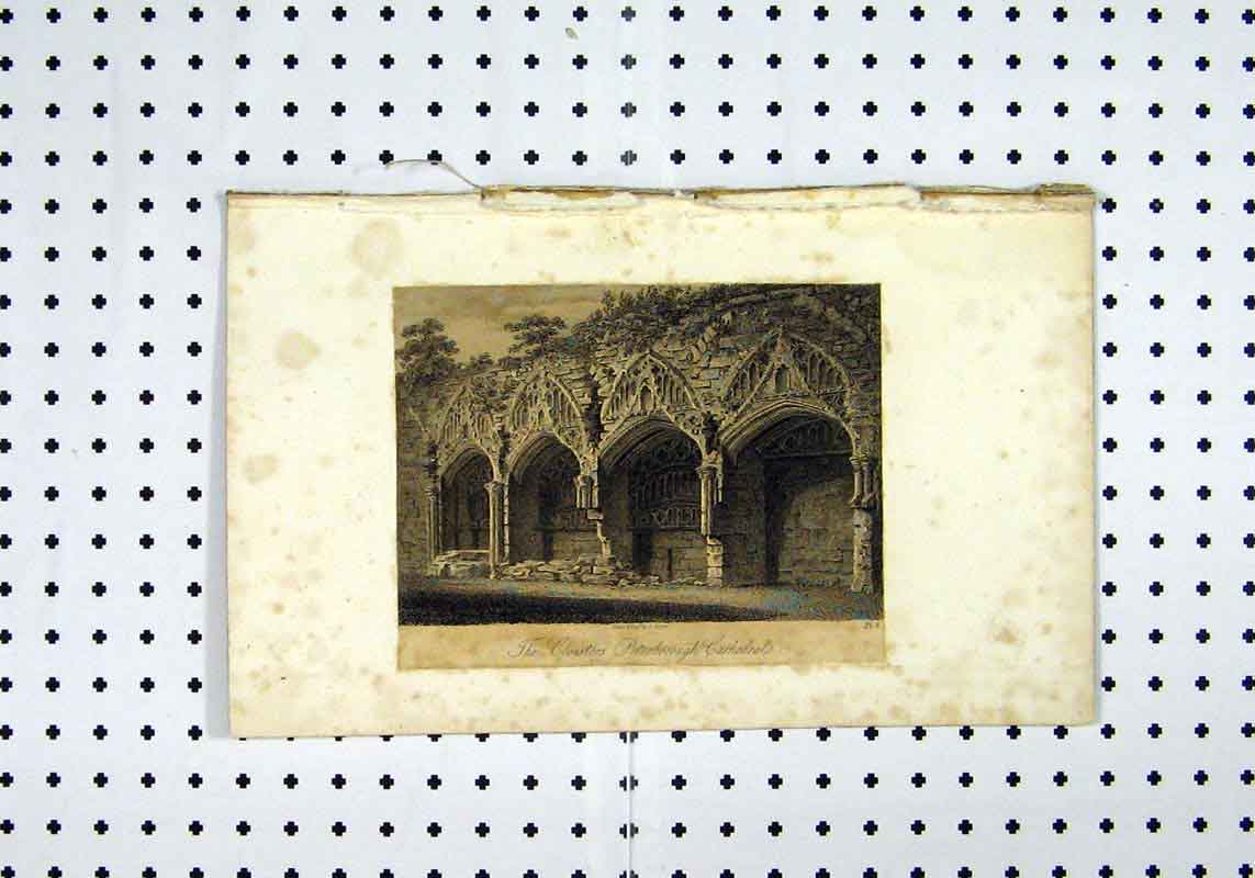 Original Old Antique Print C1836 View Cloisters Peterborough Cathedral 19th