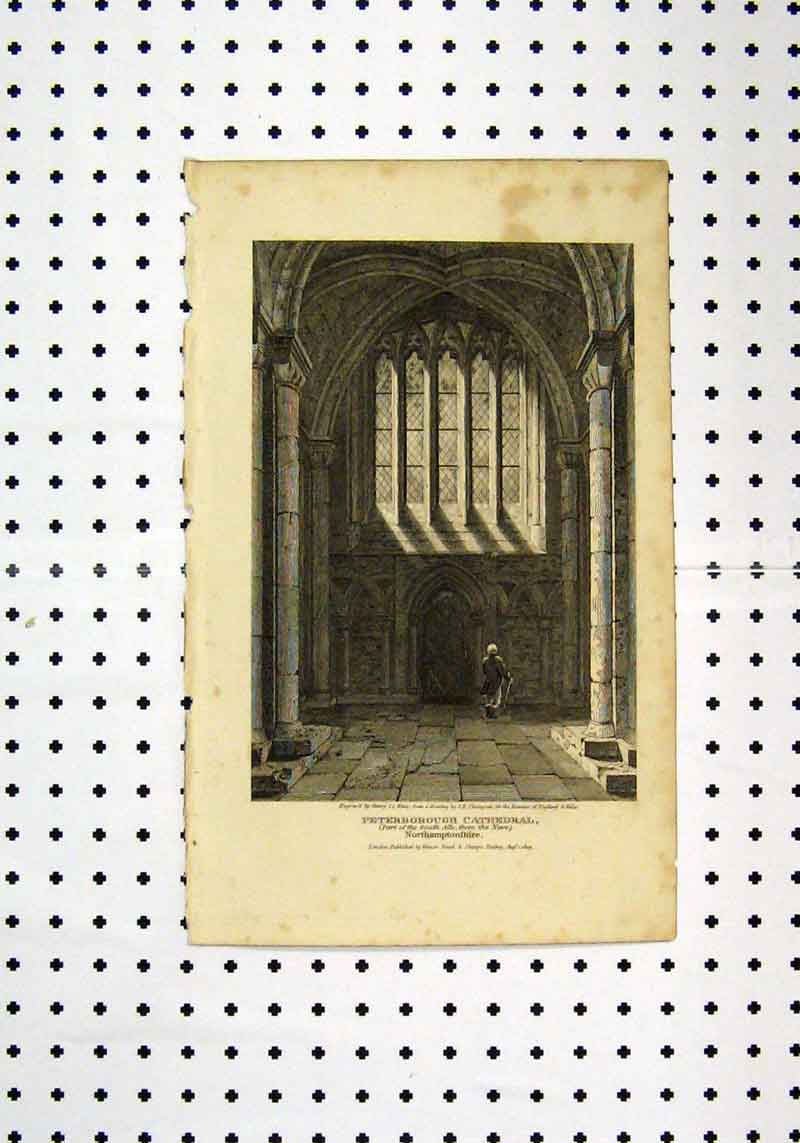Original Old Antique Print Interior View Peterborough Cathedral C1836 Henry