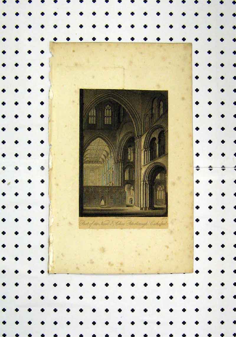 Original Old Antique Print View Nave Choir Peterborough Cathedral C1836 19th
