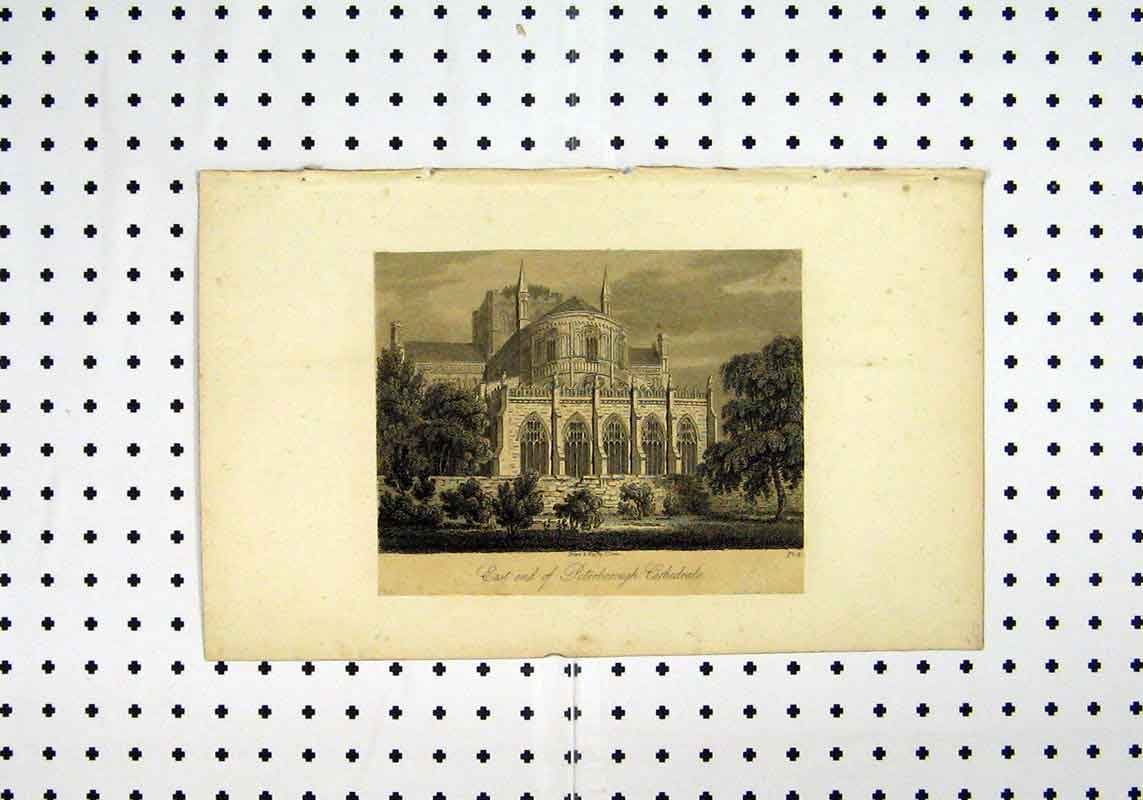 Original Old Antique Print East End View C1836 Peterborough Cathedral 19th
