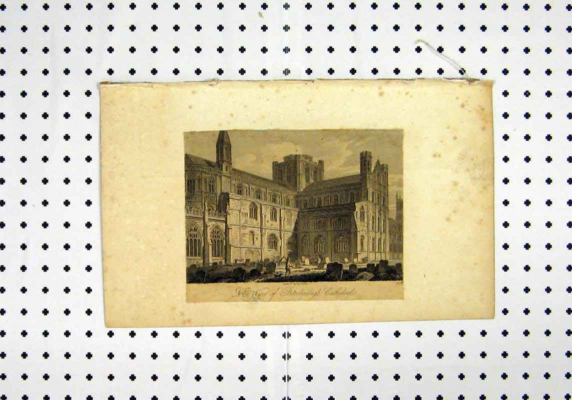 Original Old Antique Print View Peterborough Cathedral C1836 19th Century