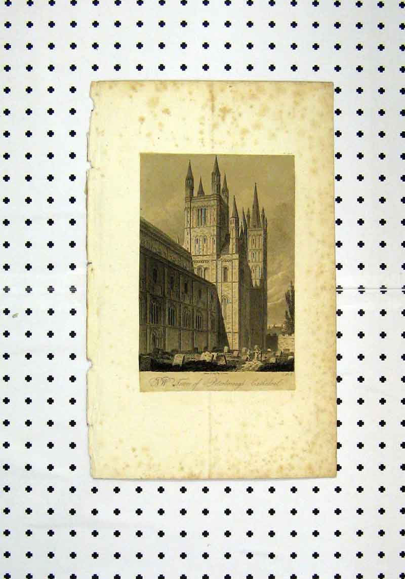 Original Old Antique Print View Tower Peterborough Cathedral C1836 19th Century