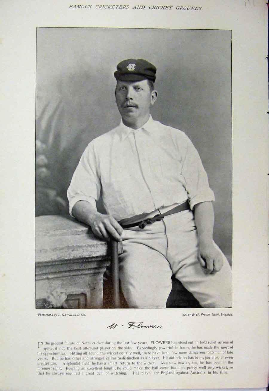 Original Old Antique Print Cricket Player 1895 Flowers Newham Sussex Photograph