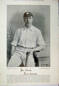 Original Old Antique Print 1895 Cricket Photograph Frank Mitchell Tunnicliffe