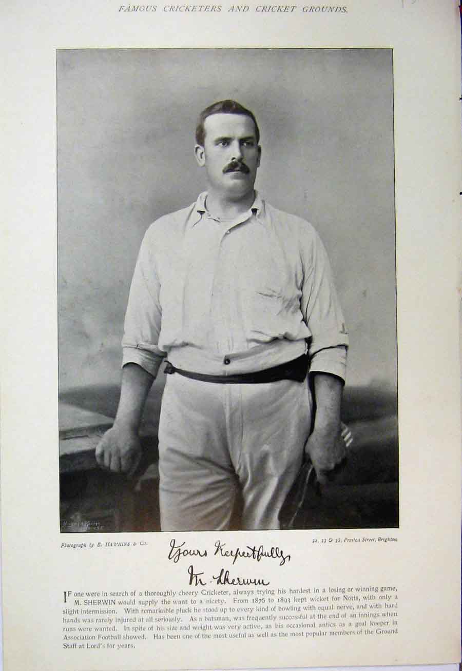 Original Old Antique Print 1895 Cricket Sport Player Sherwin O'Brien Photograph