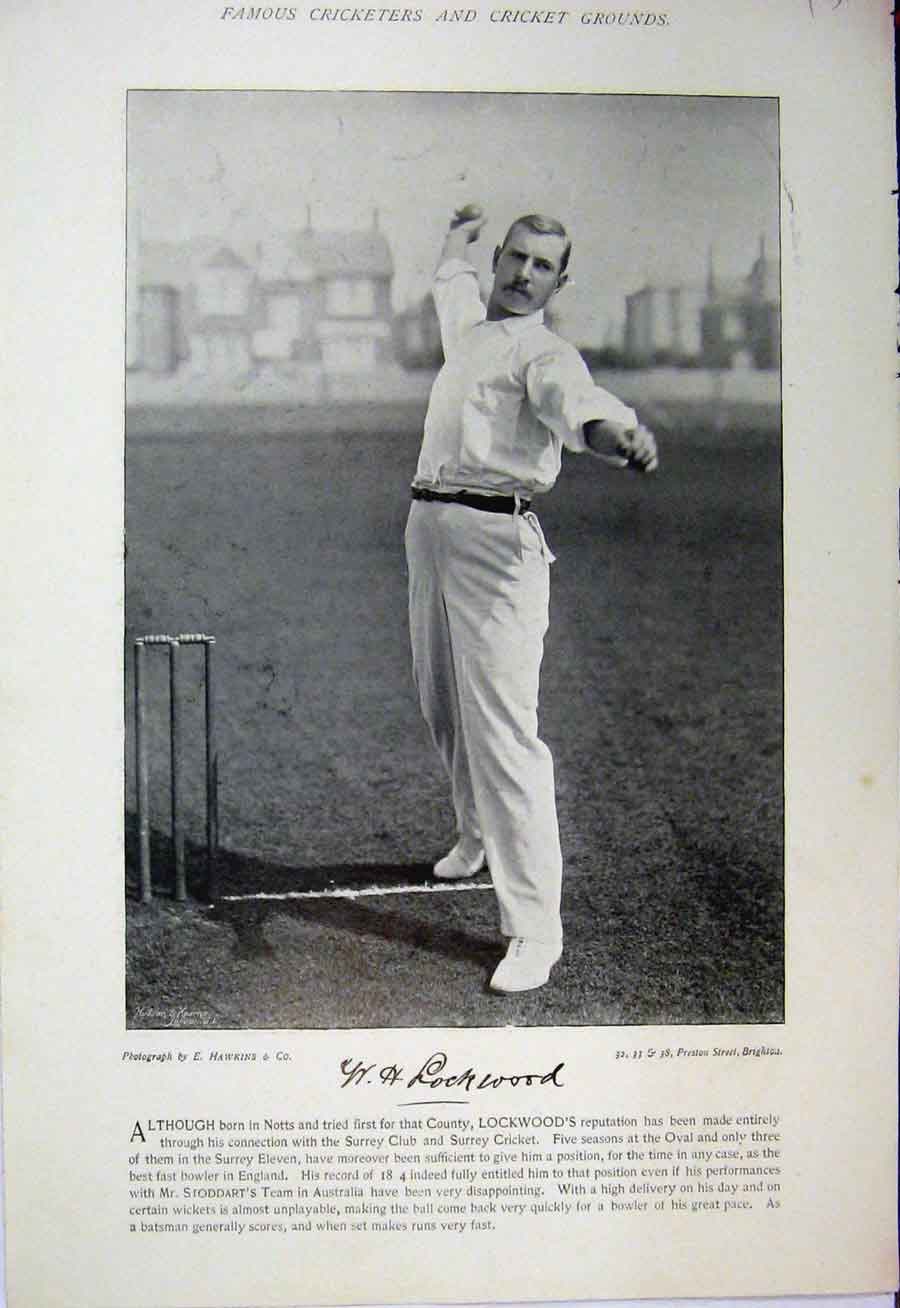 Original Old Antique Print Cricket Sport Photograph 1895 Lockwood Maurice Read