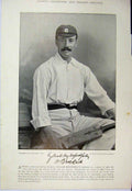 Original Old Antique Print 1895 Cricket Photograph William Brockwell Mcclaren