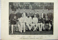 Original Old Antique Print 1895 Sheffield Australian Cricket George Bean Sport