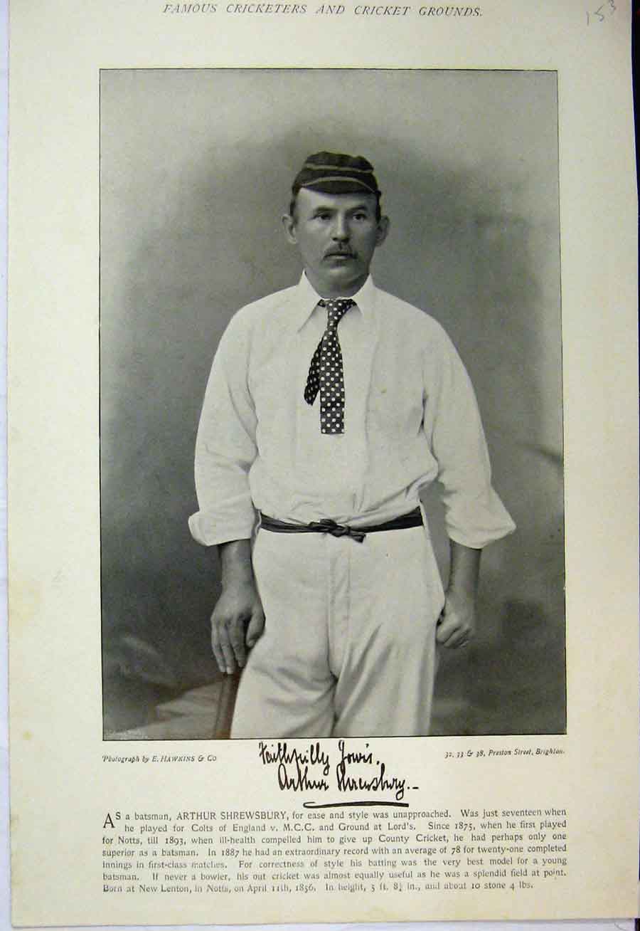 Original Old Antique Print 1895 Cricket Sport Shrewsbury Murdoch Batsman 19th