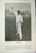 Original Old Antique Print 1895 Cricket Photograph Sport Hearne Graham 19th