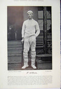 Original Old Antique Print 1895 Cricket Sport Photograph Druce Phillips Oxford