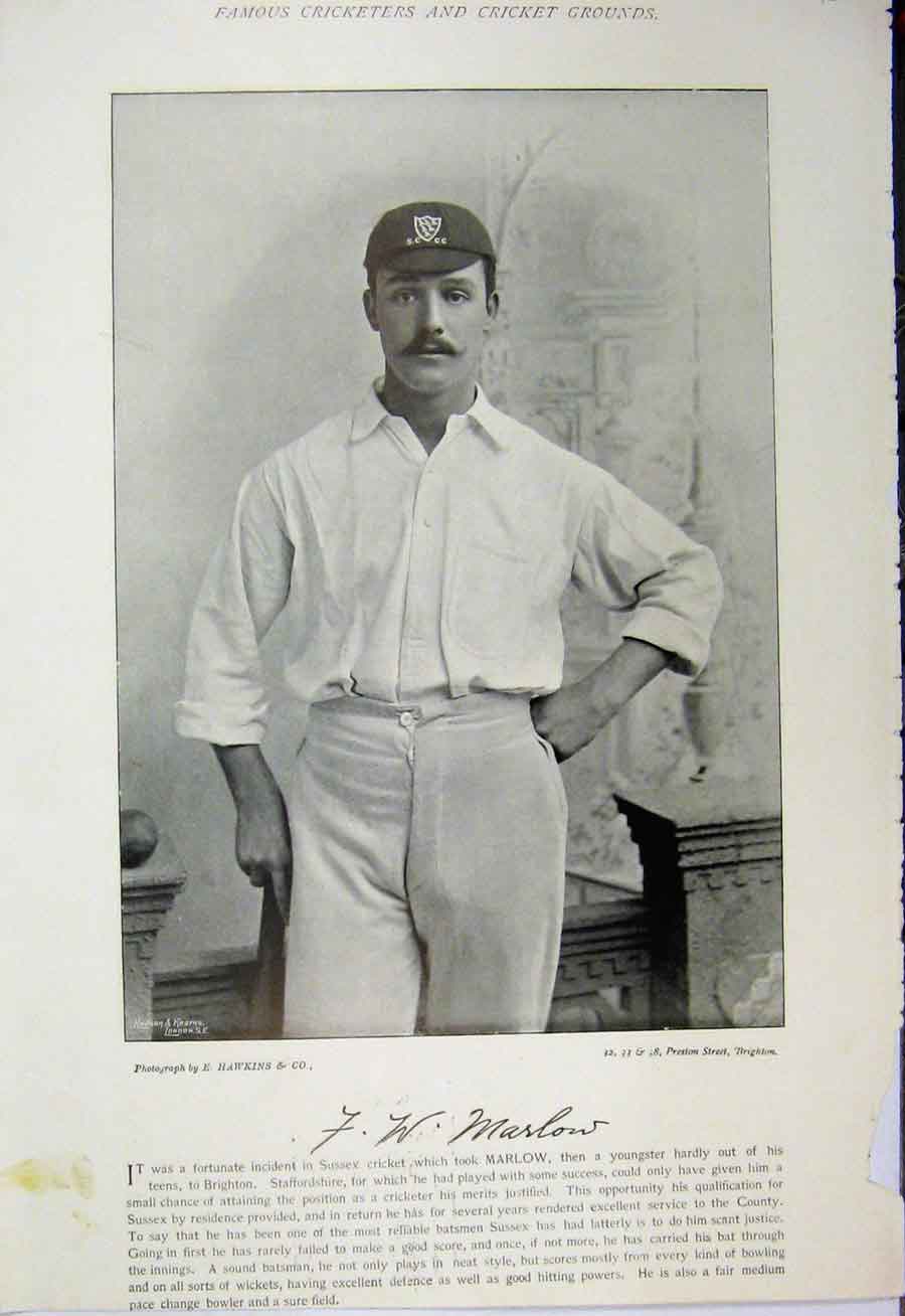 Original Old Antique Print 1895 Cricket Photograph Marlow Jones Sussex Sport