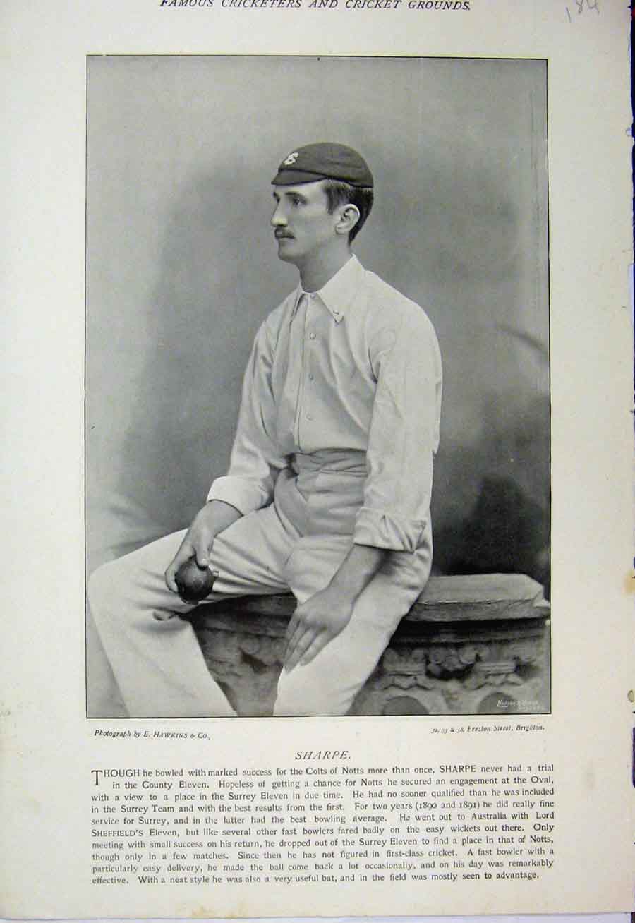 Original Old Antique Print Cricket Photograph 1895 Sharpe Robert Carpenter 19th