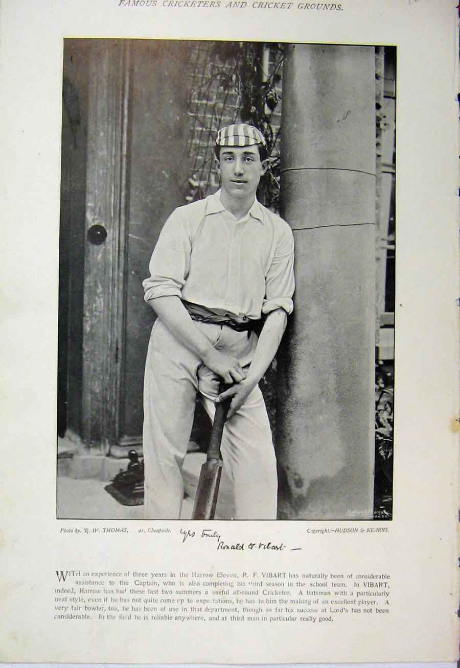 Original Old Antique Print 1895 Cricket Photograph Ronald Vibrat Stogdon 19th