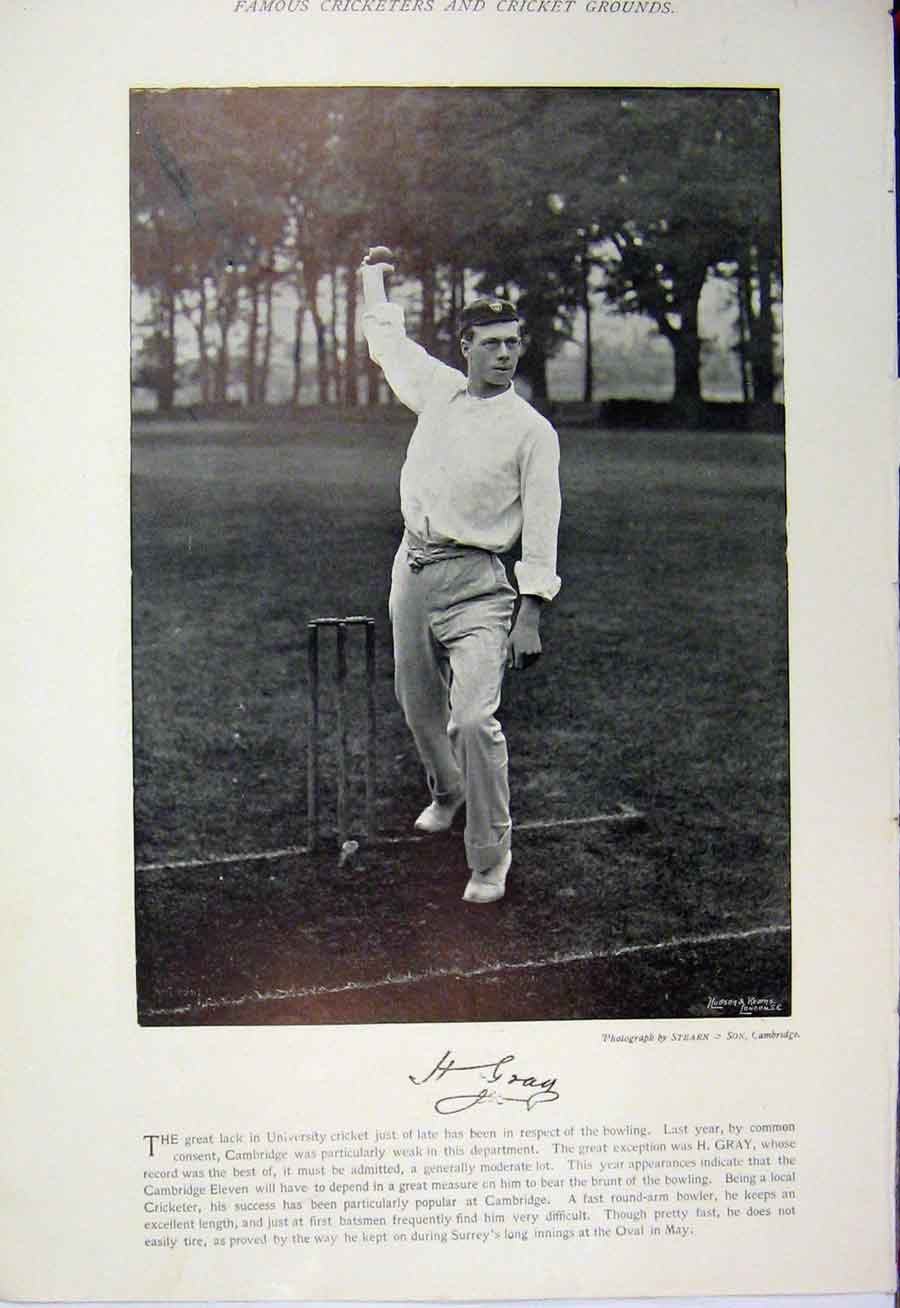 Original Old Antique Print 1895 Cricket Player Gray Wilson Sport Photograph