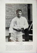 Original Old Antique Print Cricket 1895 Sport Holland Scotton Photograph 19th