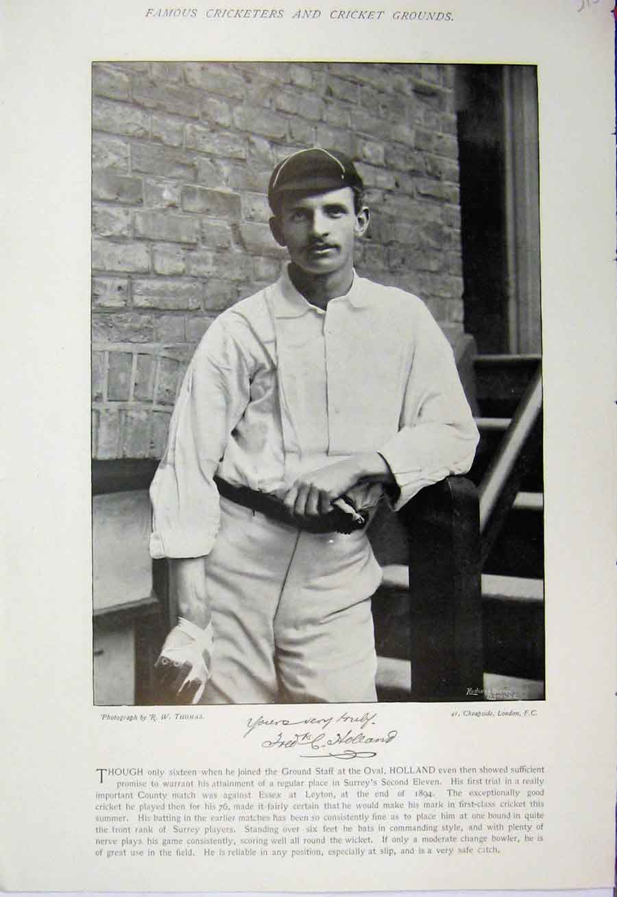 Original Old Antique Print Cricket 1895 Sport Holland Scotton Photograph 19th