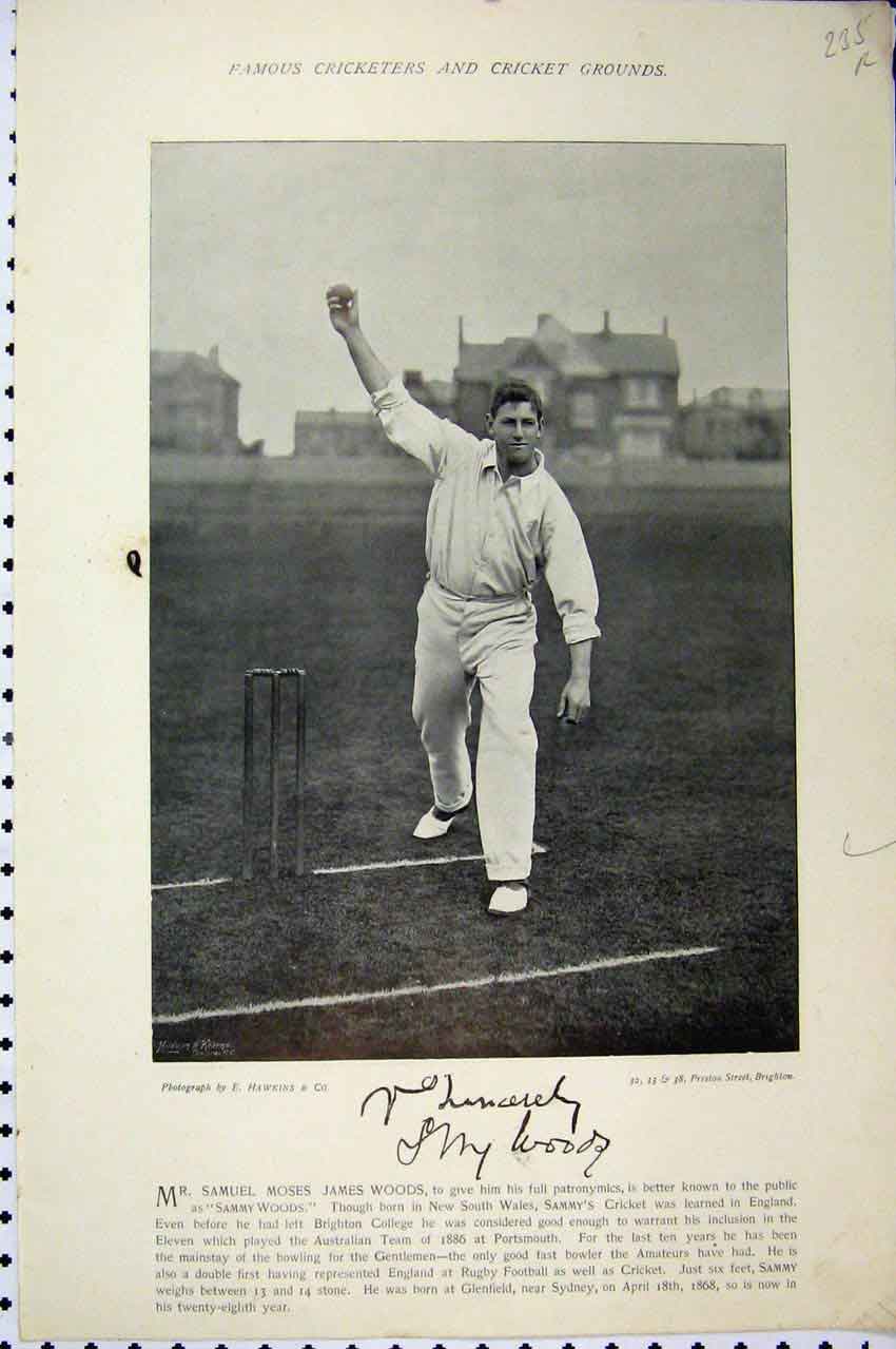 Original Old Antique Print Cricket Sport Sammy Woods 1895 Chatterton Photograph