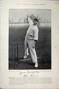 Old Antique Print Alec Hearne Webbe 1895 Cricket Sport Bowling Ball Bat 19th