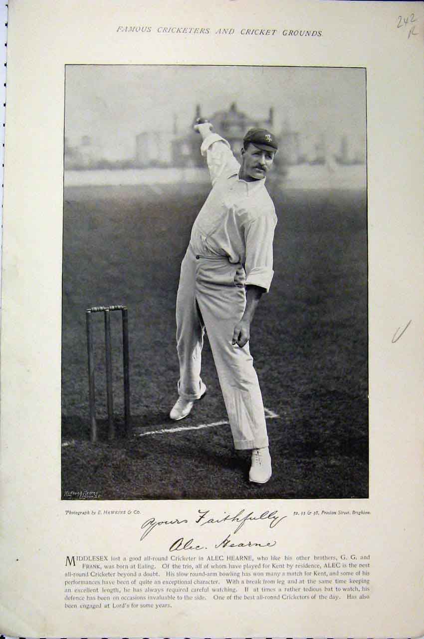 Old Antique Print Alec Hearne Webbe 1895 Cricket Sport Bowling Ball Bat 19th