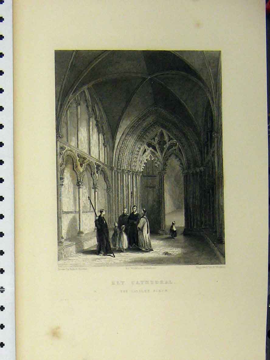 Original Old Antique Print C1850 Ely Cathedral Galilee Porch Winkles Victorian