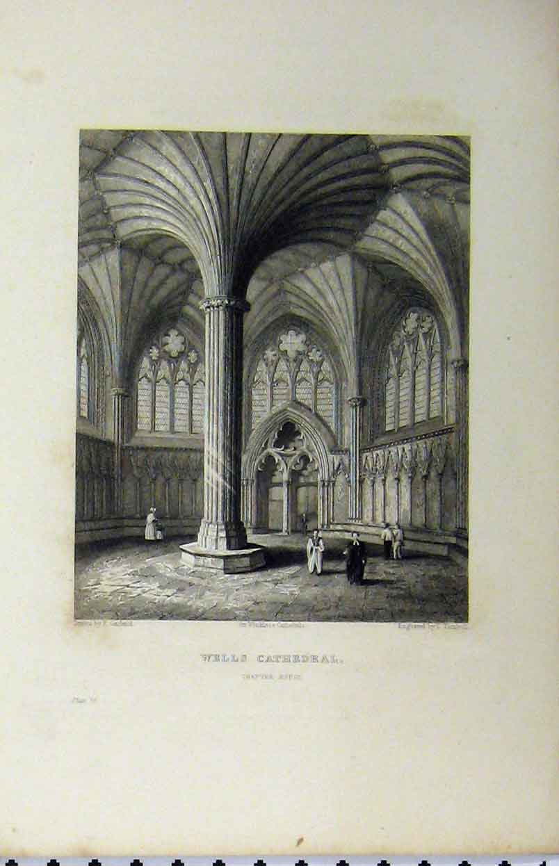 Original Old Antique Print C1850 Wells Cathedral Chapter House Winkles 19th