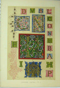 Original Old Antique Print C1882 Colour Calligraphy Design Fifteenth Century
