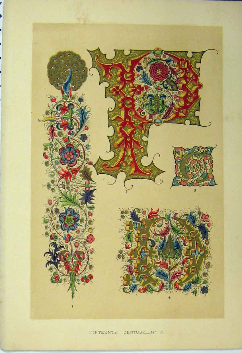 Original Old Antique Print Calligraphy Design Colour C1882 Fifteenth Century