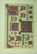 Original Old Antique Print Fourteenth Century C1882 Colour Calligraphy Letters