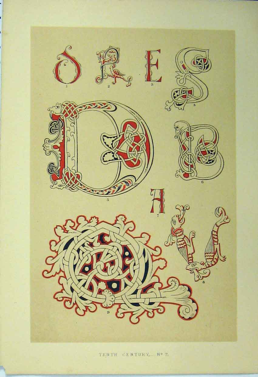 Original Old Antique Print Tenth Century Design C1882 Calligraphy Letters 19th