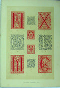 Original Old Antique Print C1882 Sixteenth Century Calligraphy Letters Colour