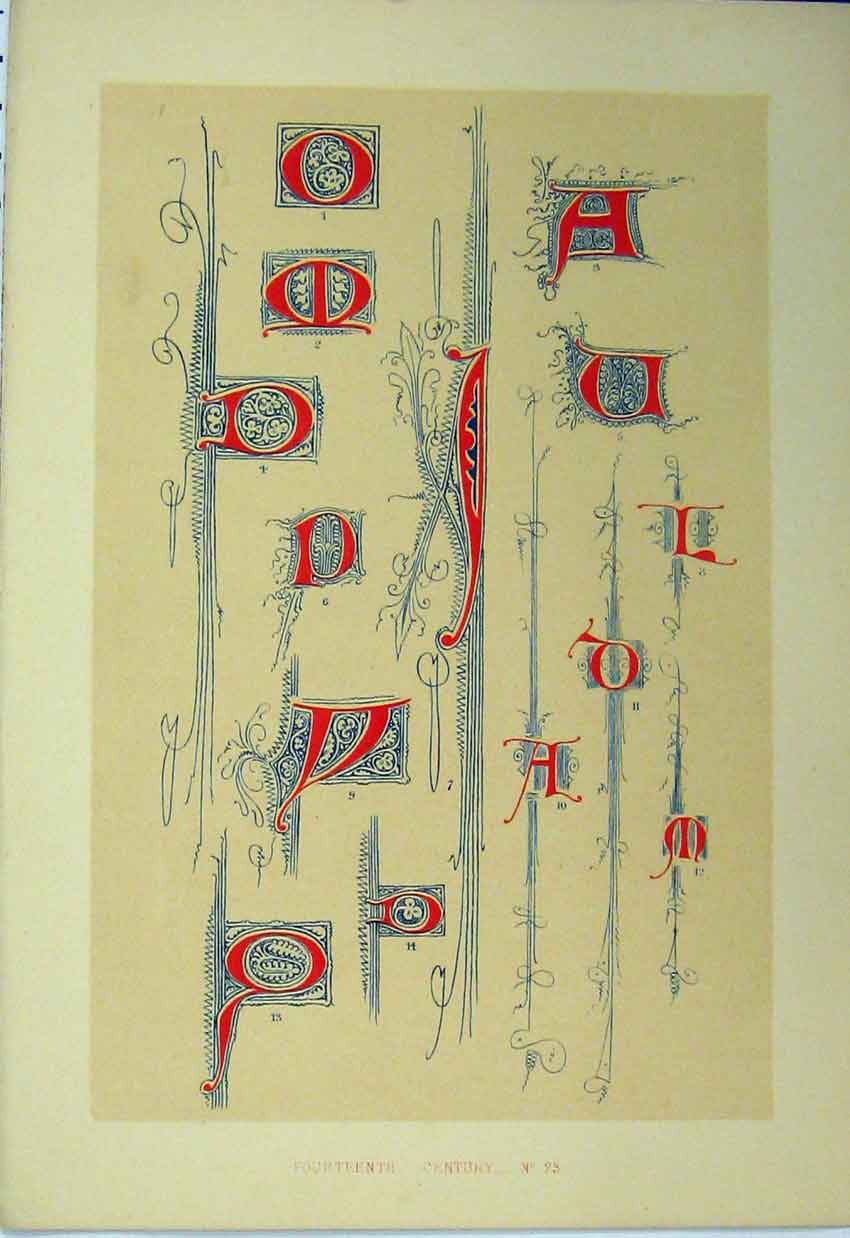 Original Old Antique Print Fourteenth Century C1882 Calligraphy Letters Colour