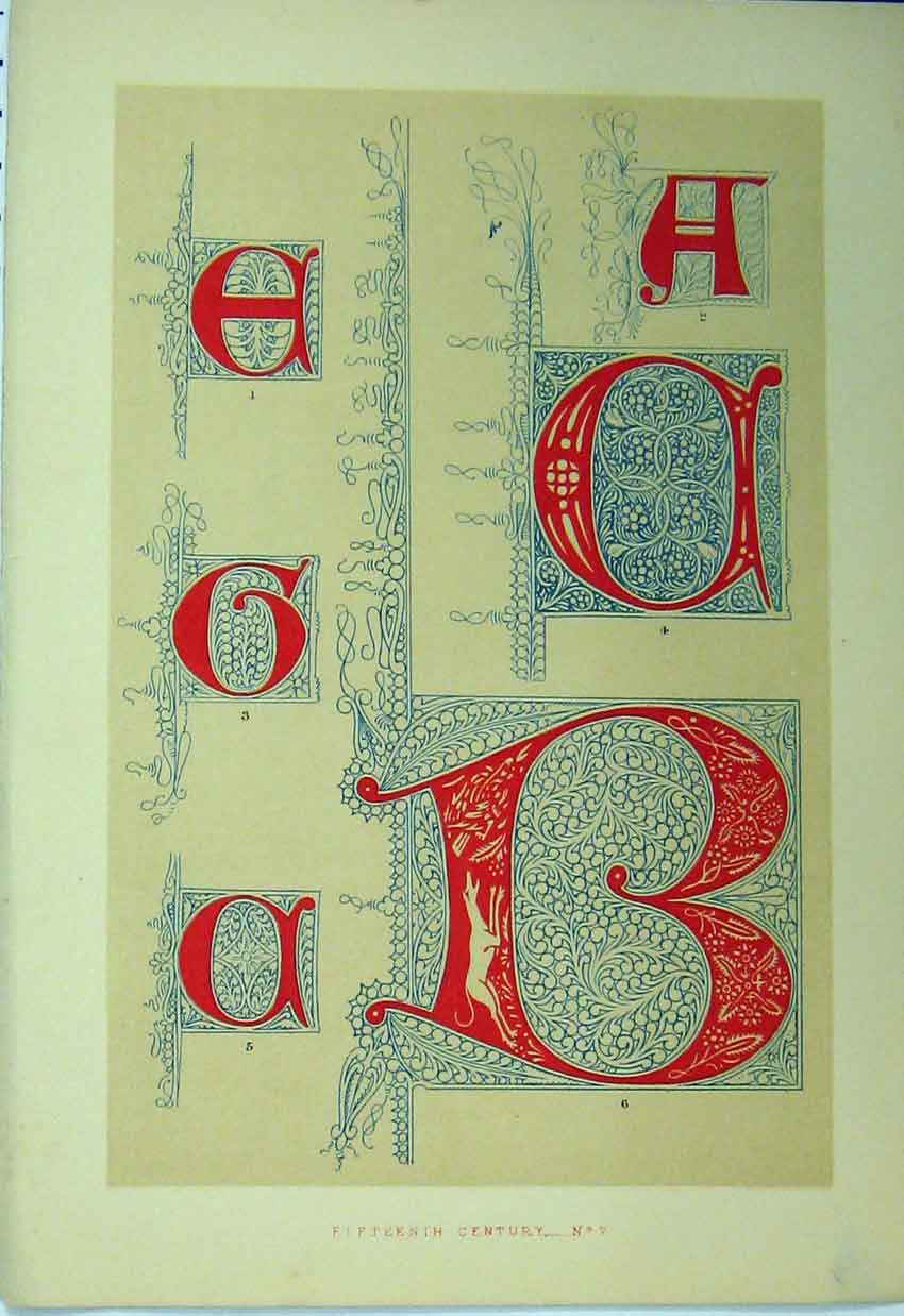 Original Old Antique Print C1882 Colour Calligrahy Fifteenth Century Design
