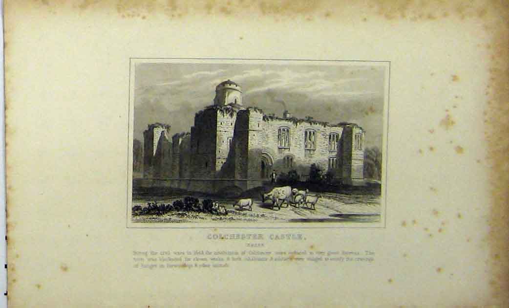 Original Old Antique Print View Colchester Castle Essex C1848 Dugdales 19th