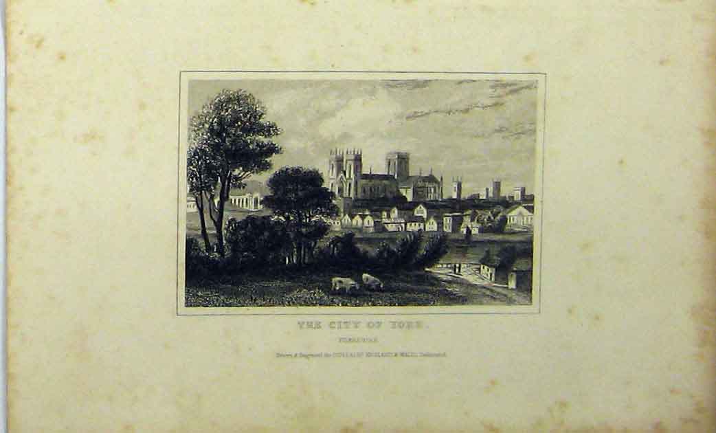 Old Antique Print View City York Yorkshire C1848 Country Scene Dugdales 19th