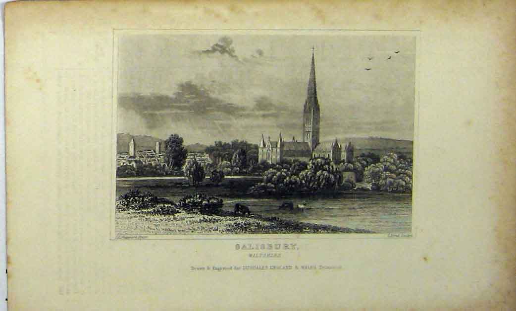 Old Antique Print View Salisbury Wiltshire C1848 Country Scene Dugdales 19th