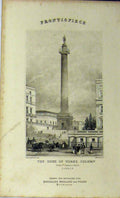 Original Old Antique Print Duke York Column St James Park London C1848 Dugdales