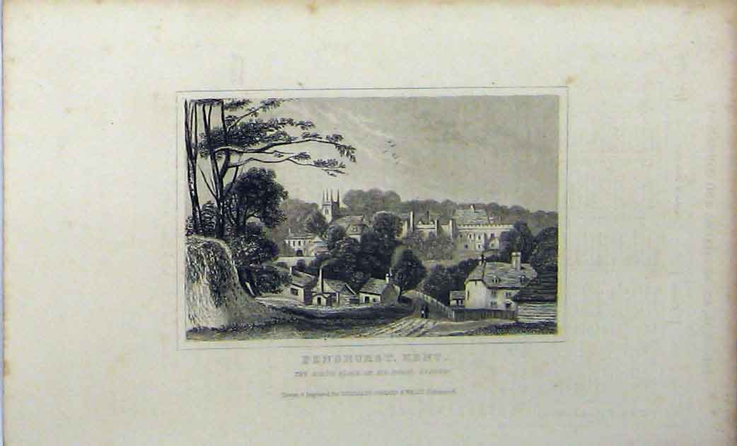 Original Old Antique Print View Penshurst Kent Philip Sydney C1848 Dugdales