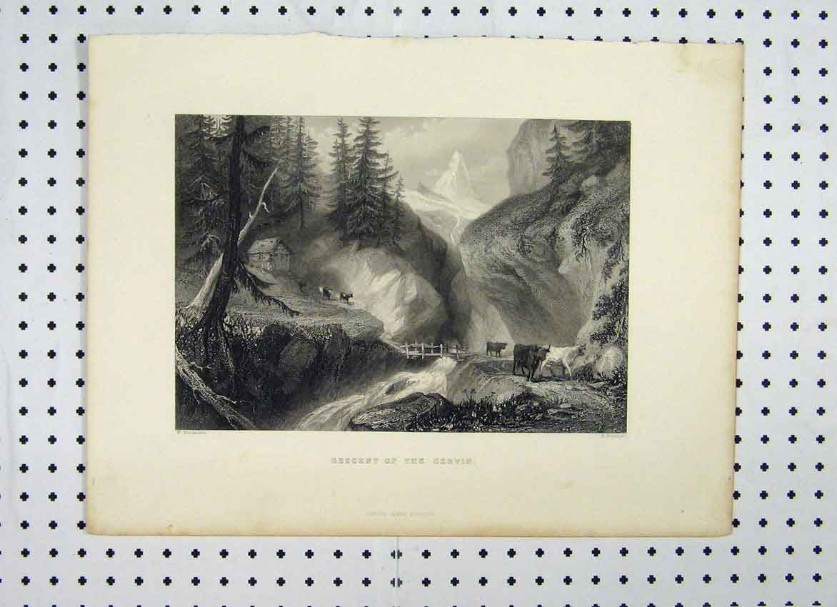 Original Old Antique Print View Descent Gervin C1865 Cattle Mountains Scene