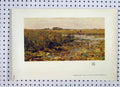 Original Old Antique Print Colour Water Lillies Lake Women Working Country