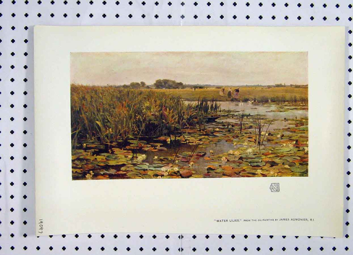Original Old Antique Print Colour Water Lillies Lake Women Working Country