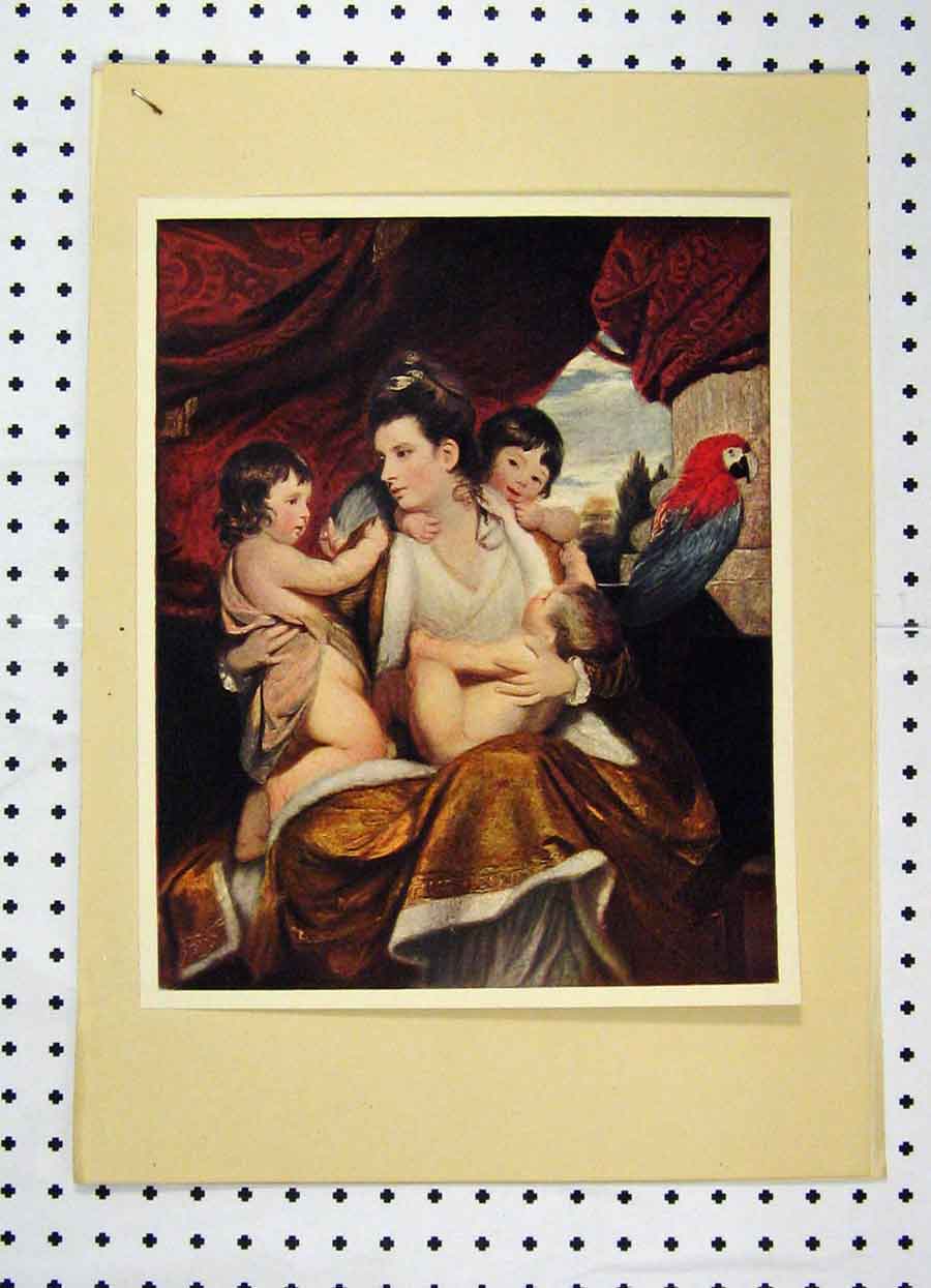 Original Old Antique Print Portrait Lady Cockburn Children Colour Parrot